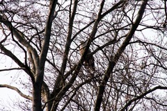 Killikus&reg; Fotographie